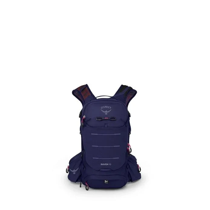 Raven 10 - Image 3